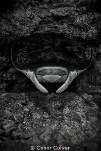 "The Devil Arises" part of my Underwater Surrealism serie... by Conor Culver 